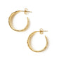 Sage Leaf Small Hoop Earrings