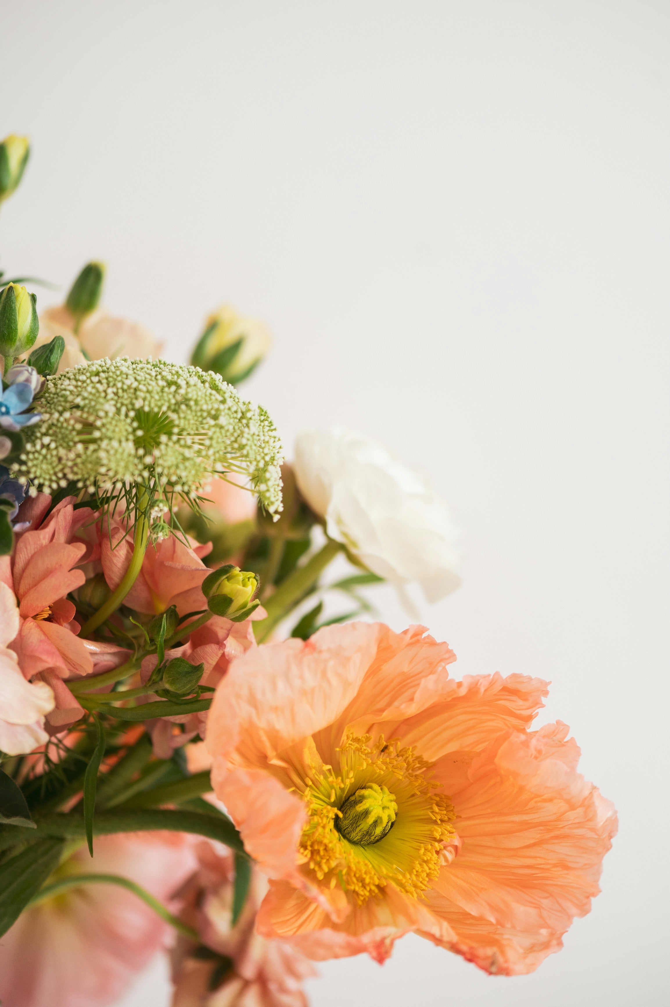 botanical floral inspired jewelry